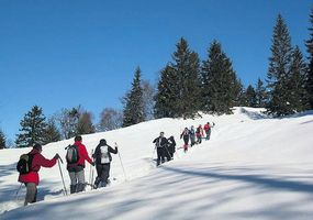 Schneeschuhlaeufer Schneeschuhläufer