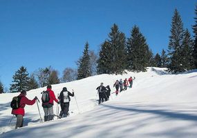 Schneeschuhläufer