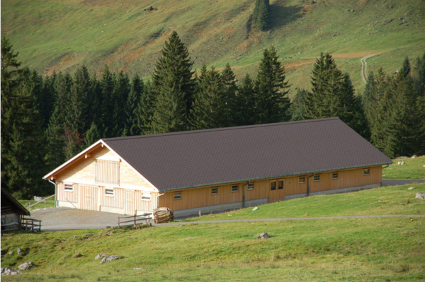neuer Laufstall in Hundwil