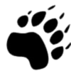 Logo der Bärentatze