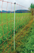 Grundschutz für Kleinvieh-Zaun