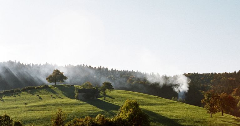 Rauch in der Landschaft