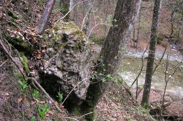 Der Wald als Steinschlagschutz