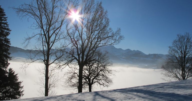 Winterlandschaft mit Nebel