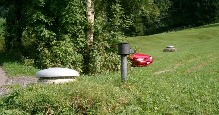 Quellfassung in einer Wiese