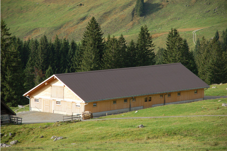 neuer Laufstall